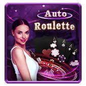 shoei slot